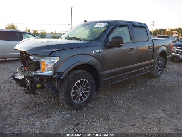 Ford F-150 Xlt 2019 1FTEW1EP8KKC01149 Image 2