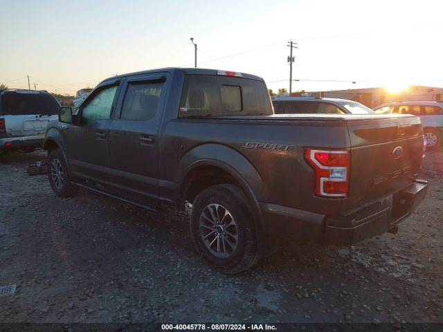 Ford F-150 Xlt 2019 1FTEW1EP8KKC01149 Image 3
