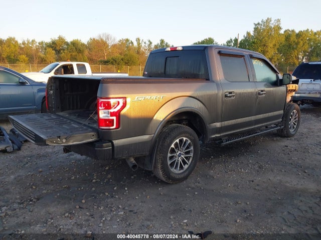 Ford F-150 Xlt 2019 1FTEW1EP8KKC01149 Image 4