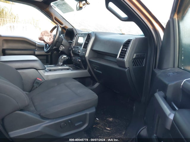 Ford F-150 Xlt 2019 1FTEW1EP8KKC01149 Image 5
