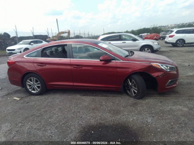 5NPE24AF2GH389117 Hyundai SONATA SE