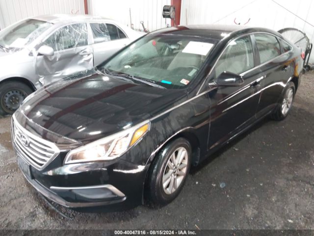 5NPE24AF8GH286753 Hyundai SONATA SE