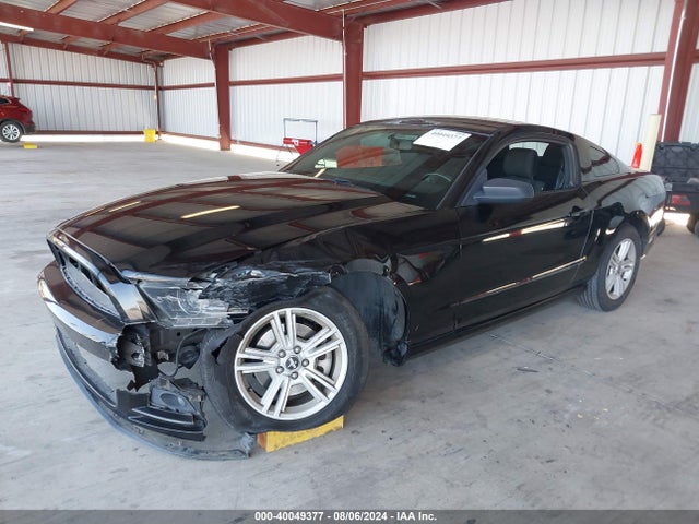 Ford Mustang V6 2014 1ZVBP8AM9E5270551 Image 2