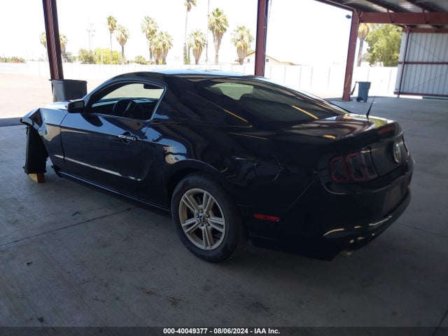 Ford Mustang V6 2014 1ZVBP8AM9E5270551 Image 3