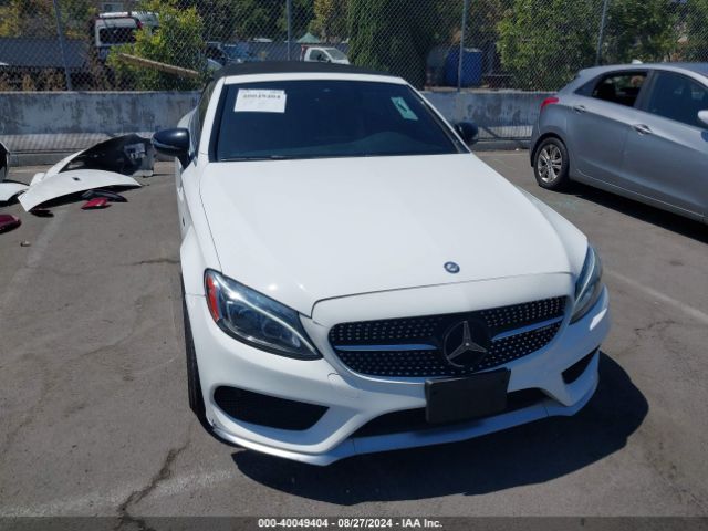WDDWK6EB1HF489203 Mercedes-Benz Amg C 43 4matic