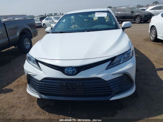 4T1C31AK7NU594186 Toyota Camry Le Hybrid