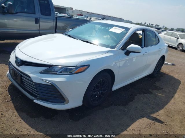 4T1C31AK7NU594186 Toyota Camry Le Hybrid