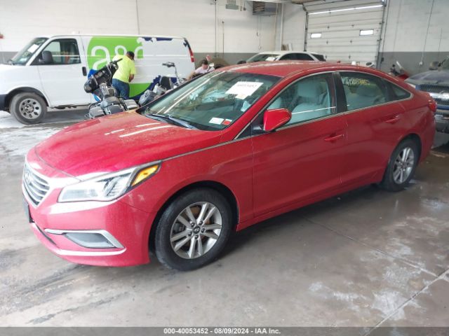 5NPE24AF5HH532191 Hyundai Sonata