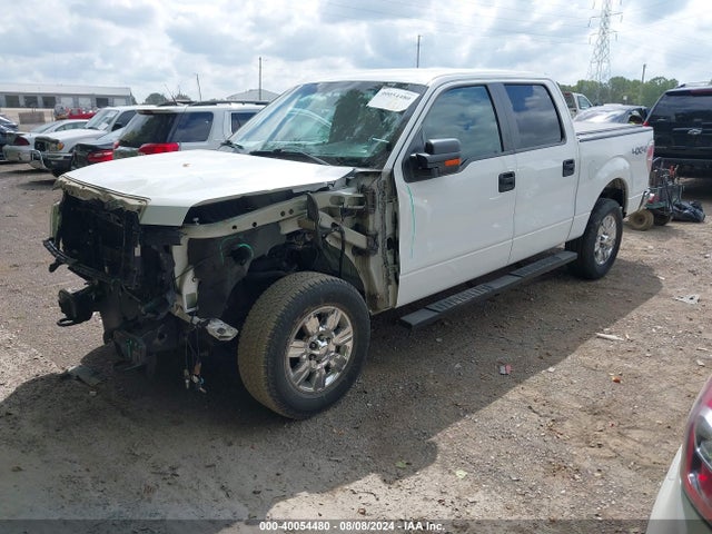 Ford F-150 Xlt 2014 1FTFW1EF1EKG09721 Image 2
