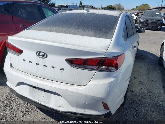 Hyundai SONATA SEL 2019 5NPE34AF9KH743849 Image 16
