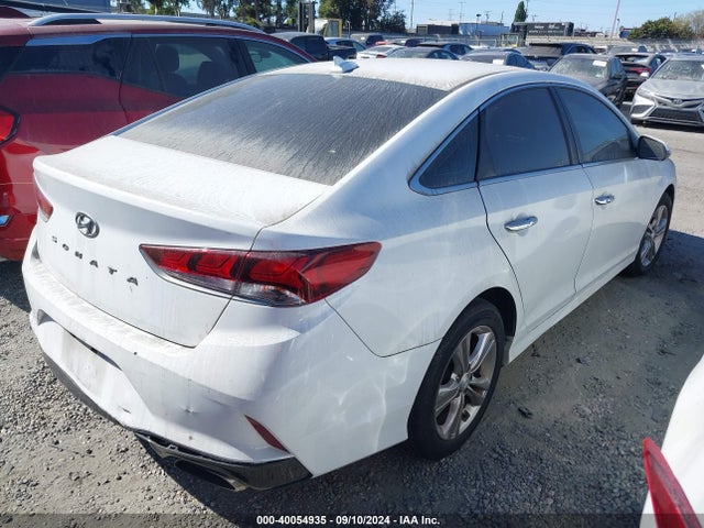Hyundai SONATA SEL 2019 5NPE34AF9KH743849 Image 4