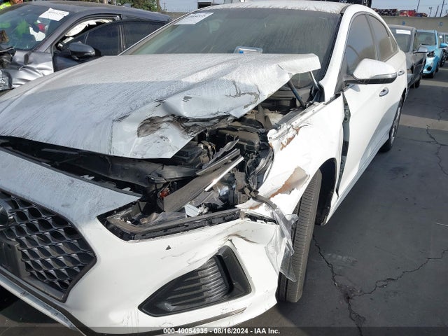Hyundai SONATA SEL 2019 5NPE34AF9KH743849 Image 6