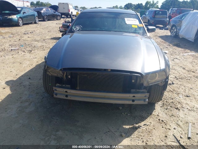 Ford Mustang V6 2014 1ZVBP8AM8E5325295 Image 12