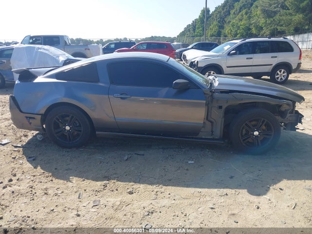Ford Mustang V6 2014 1ZVBP8AM8E5325295 Image 13