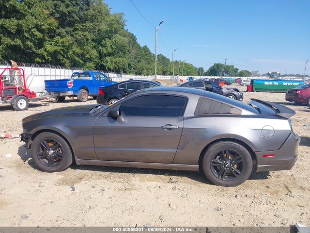 Ford Mustang V6 2014 1ZVBP8AM8E5325295 Image 14
