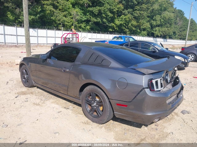 Ford Mustang V6 2014 1ZVBP8AM8E5325295 Image 3