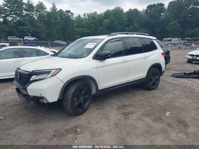 Honda Passport Elite 2019 5FNYF8H06KB007866 Image 2
