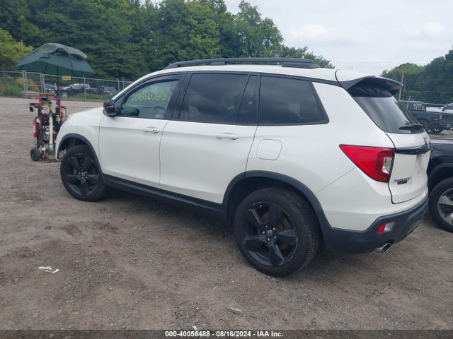 Honda Passport Elite 2019 5FNYF8H06KB007866 Image 3
