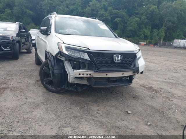 Honda Passport Elite 2019 5FNYF8H06KB007866 Image 6