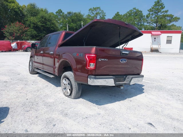Ford F-150 Xlt 2016 1FTEW1EP4GFB62995 Image 3