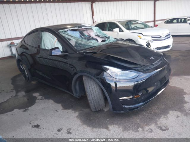 2024 TESLA MODEL Y 7SAYGDEE9RF981425
