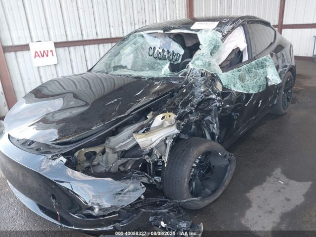 2024 TESLA MODEL Y 7SAYGDEE9RF981425 Photo 5