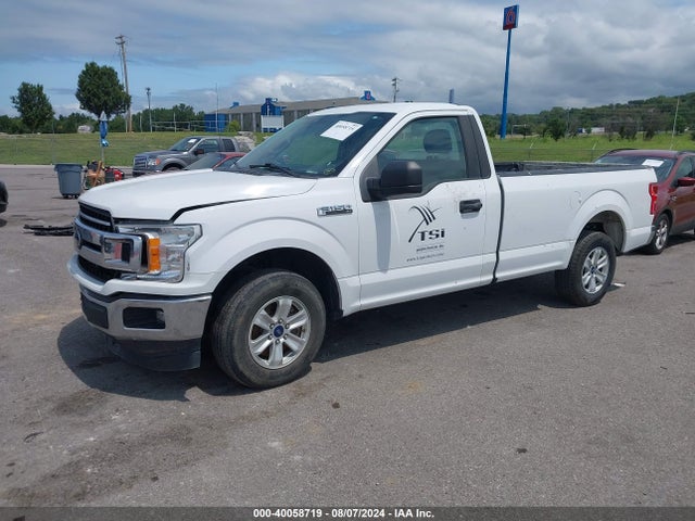 Ford F-150 Xl 2019 1FTMF1C53KKD59783 Image 2