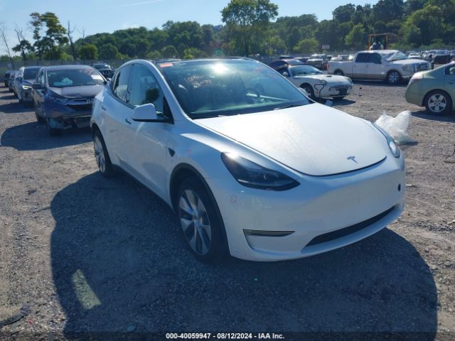 2023 TESLA MODEL Y 7SAYGDEE2PF704533