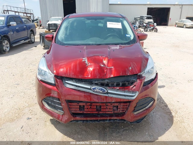 Ford ESCAPE SE 2014 1FMCU0G97EUD16772 Image 12