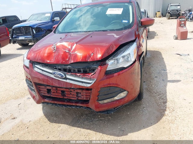 Ford ESCAPE SE 2014 1FMCU0G97EUD16772 Image 6