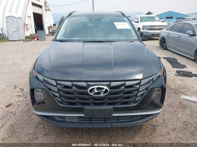 Hyundai TUCSON SEL 2023 5NMJBCAE5PH211456 Image 13