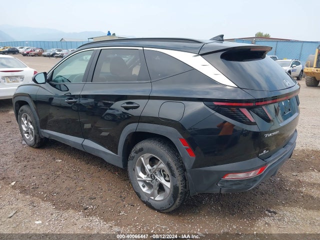 Hyundai TUCSON SEL 2023 5NMJBCAE5PH211456 Image 3