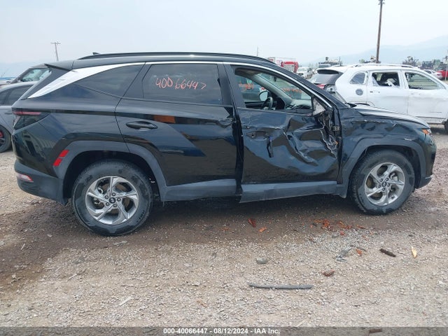 Hyundai TUCSON SEL 2023 5NMJBCAE5PH211456 Image 6