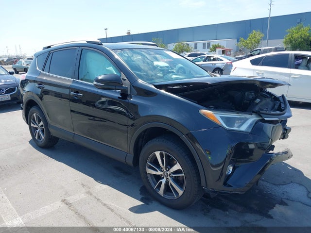 Toyota Rav4 Xle 2016 2T3WFREV8GW264865 главное изображение