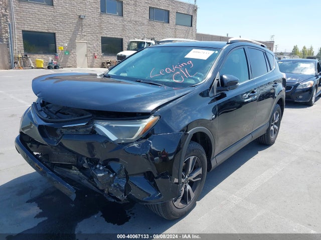 Toyota Rav4 Xle 2016 2T3WFREV8GW264865 Image 2