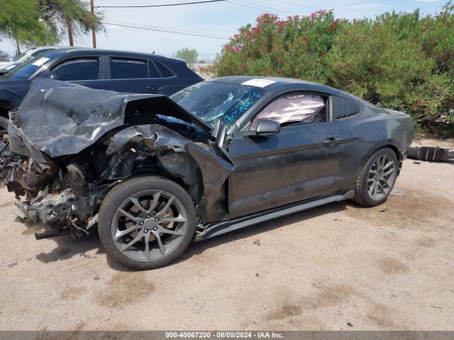 1FA6P8AM0H5308912 Ford Mustang V6