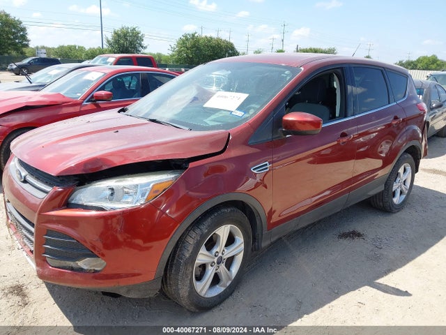 Ford ESCAPE SE 2014 1FMCU0GX9EUB81390 Image 2