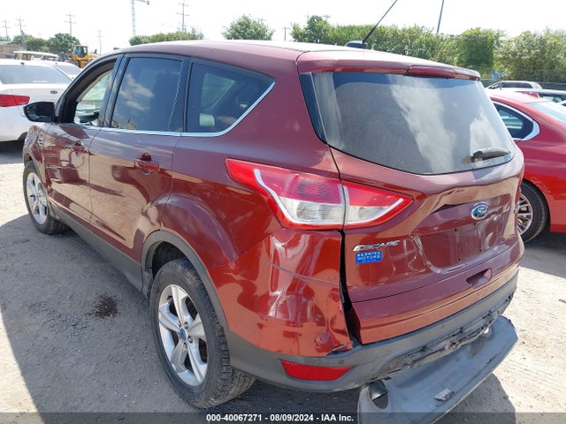 Ford ESCAPE SE 2014 1FMCU0GX9EUB81390 Image 3