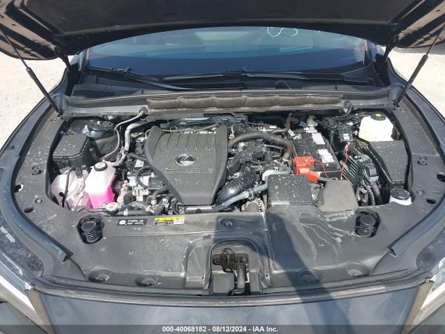 2T2BAMBA3RC036492 Lexus Rx 350 Premium Plus