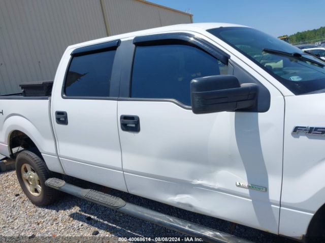 1FTFW1ET0EKG41727 Ford F-150 Xlt