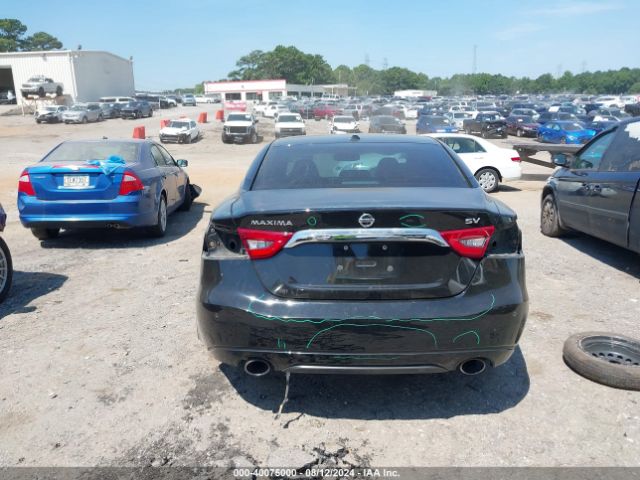 1N4AA6APXHC422261 Nissan Maxima 3.5 Sv