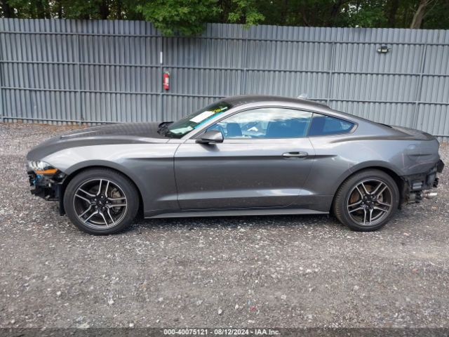 1FA6P8TH0N5144802 Ford Mustang Ecoboost Fastback