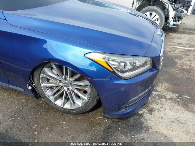 Hyundai Genesis 3.8 2016 KMHGN4JEXGU134496 Image 6