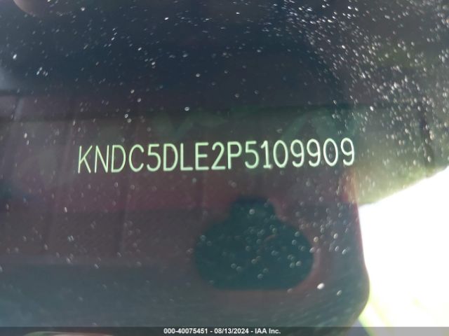 KNDC5DLE2P5109909 KIA Ev6 Gt