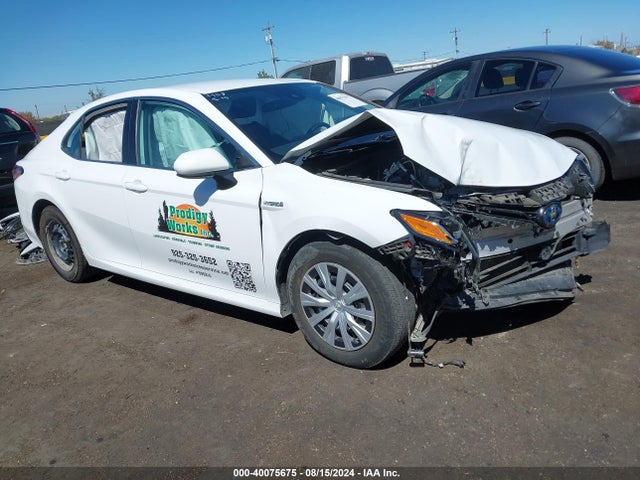 Toyota Camry Le Hybrid 2021 4T1C31AK3MU026841 главное изображение