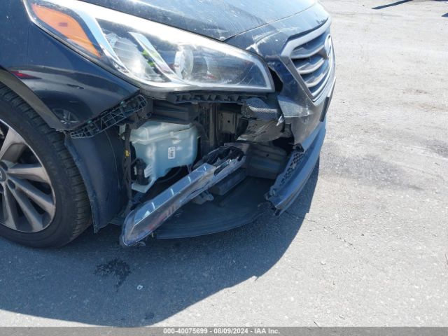 5NPE34AF8FH257961 Hyundai Sonata Sport
