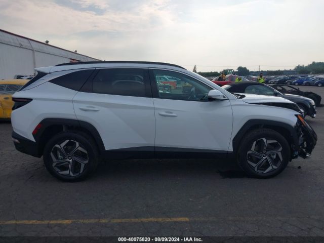 KM8JECD16RU234560 Hyundai Tucson Hybrid Limited
