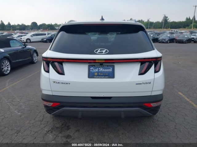 KM8JECD16RU234560 Hyundai Tucson Hybrid Limited