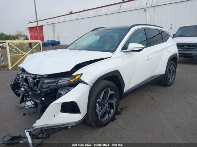KM8JECD16RU234560 Hyundai Tucson Hybrid Limited