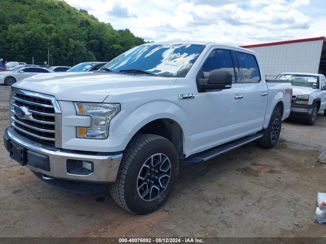 Ford F-150 Xlt 2015 1FTEW1EF2FKD14818 Image 2